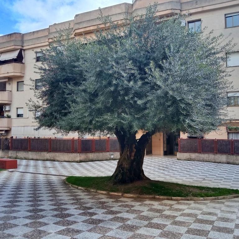 Tempul Garden Suite - Apartamento de 3 dormitorios con vistas - 2