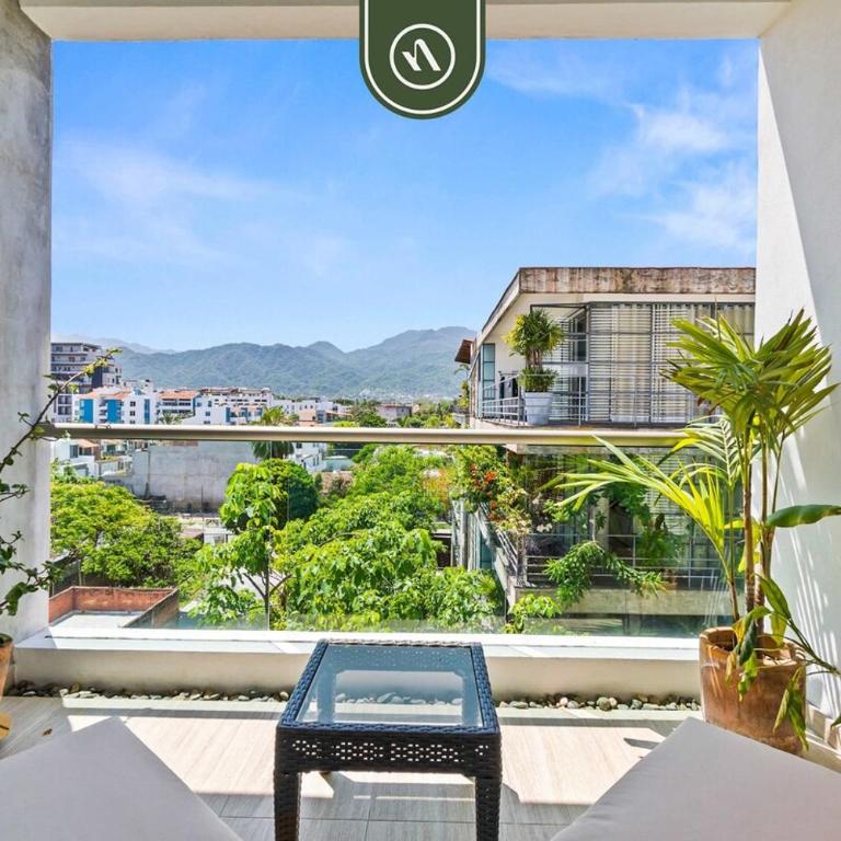Amazing 1BR Condo - Pool - in Versalles - Casa - 14