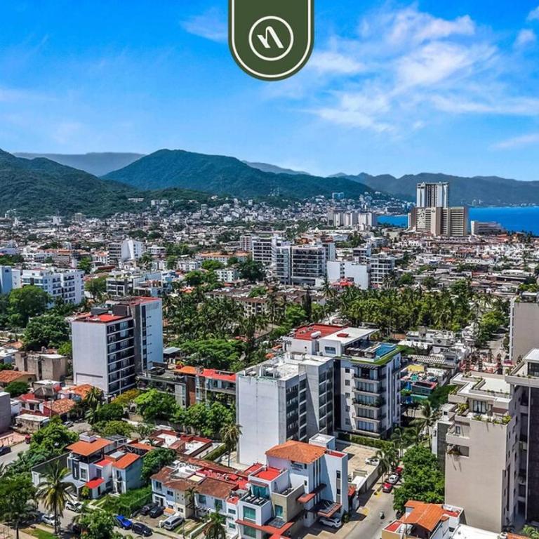 Amazing 1BR Condo - Pool - in Versalles - Casa - 39