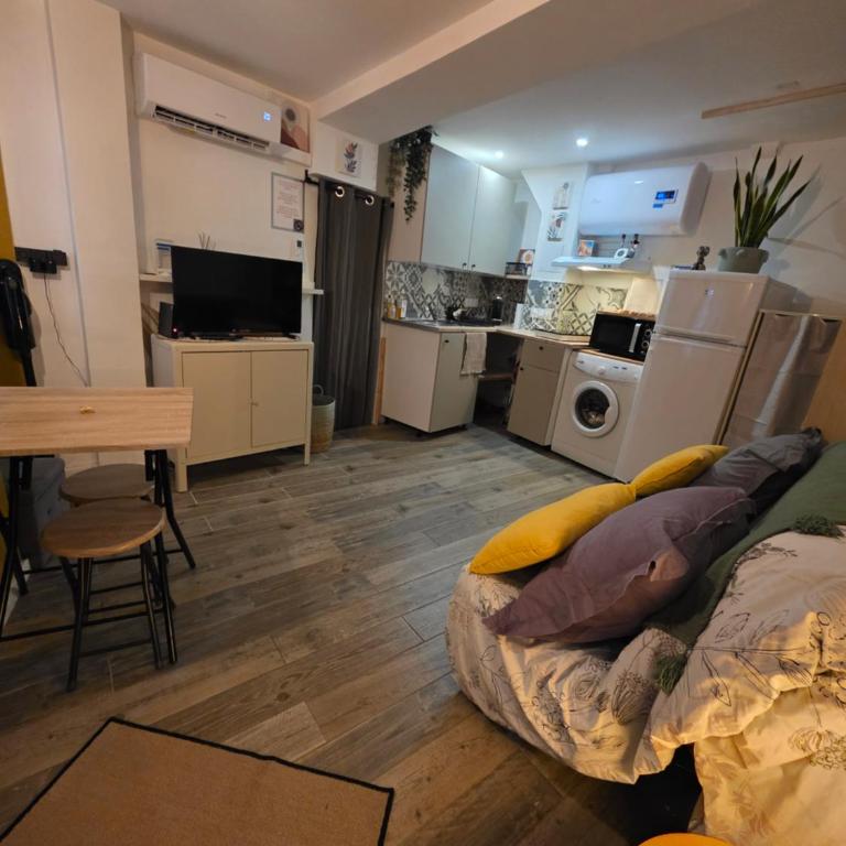 Atypique studio en bas du Château - Appartement 1 Chambre - 6