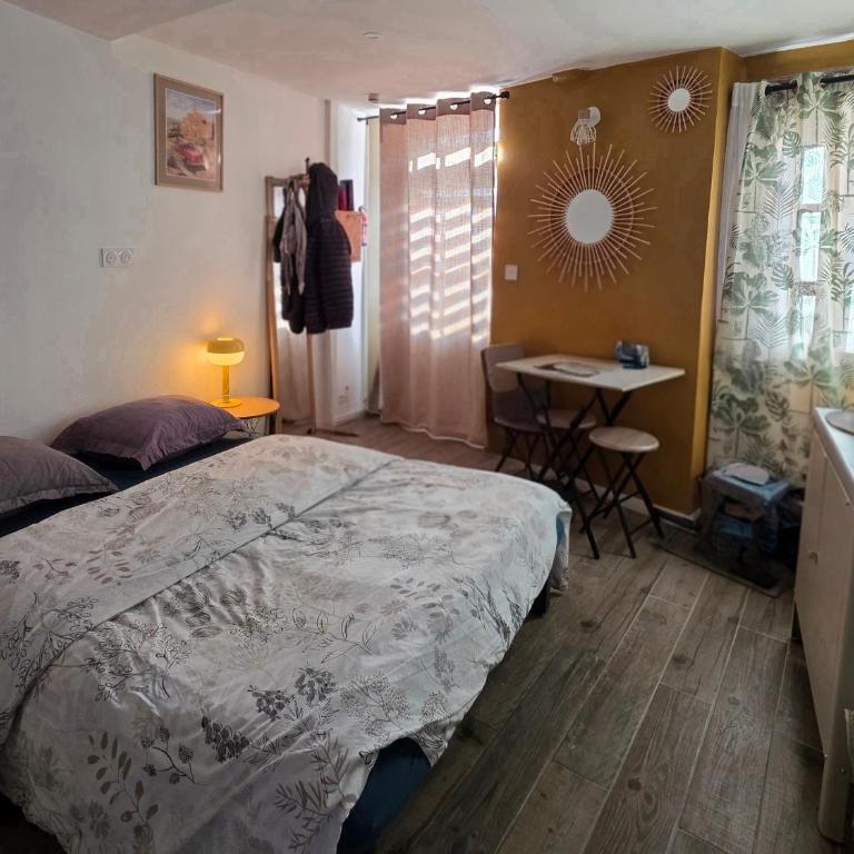 Atypique studio en bas du Château - Appartement 1 Chambre - 7