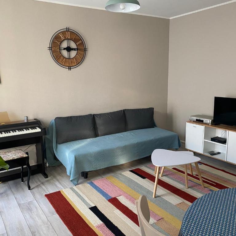 Nice appartement close to CHU - Appartement 1 Chambre - 5