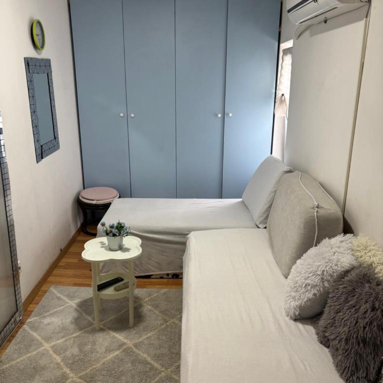 Small low cost Dorcol - One-Bedroom Apartment - 1
