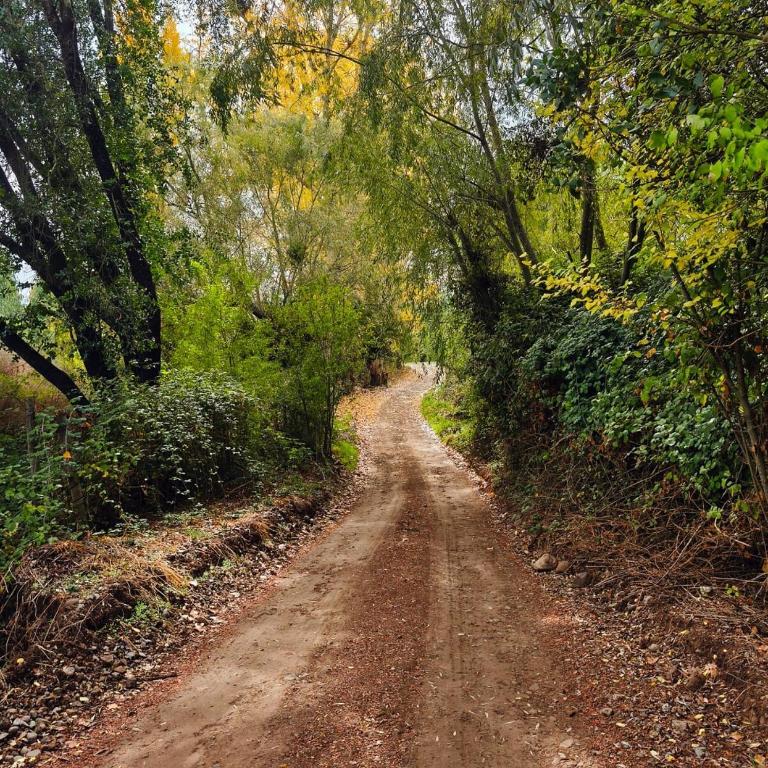 Tiny House 3 En el río - One-Bedroom Apartment - 6