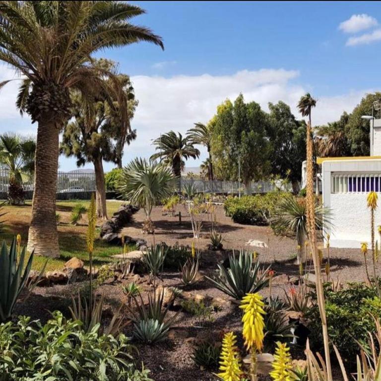 Maison L&S Tenerife - Apartamento de 1 dormitorio - 11