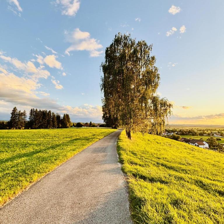 Charmantes Ferienhaus Luise im Allgäu - Ferienhaus - 41