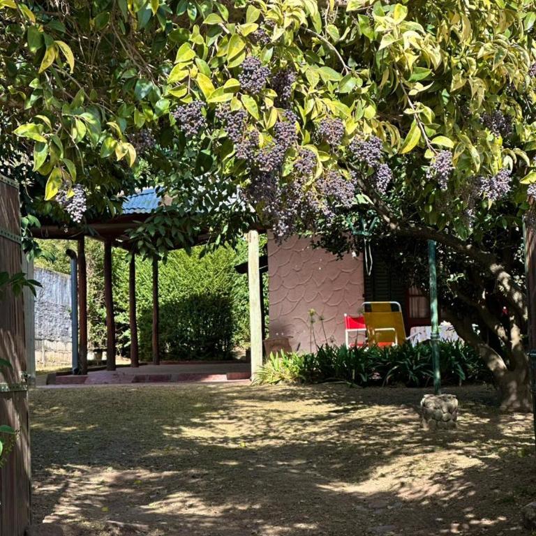 Villa il Fanale - Casa de 2 dormitorios - 1