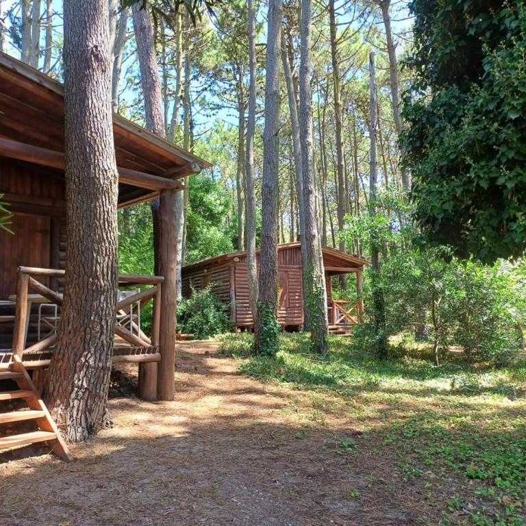 Cabaña Mar de las Pampas Marpioneras - Casa con 1 dormitorio - 5