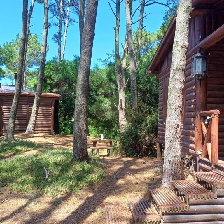 Cabaña Mar de las Pampas Marpioneras - Casa con 1 dormitorio - 7