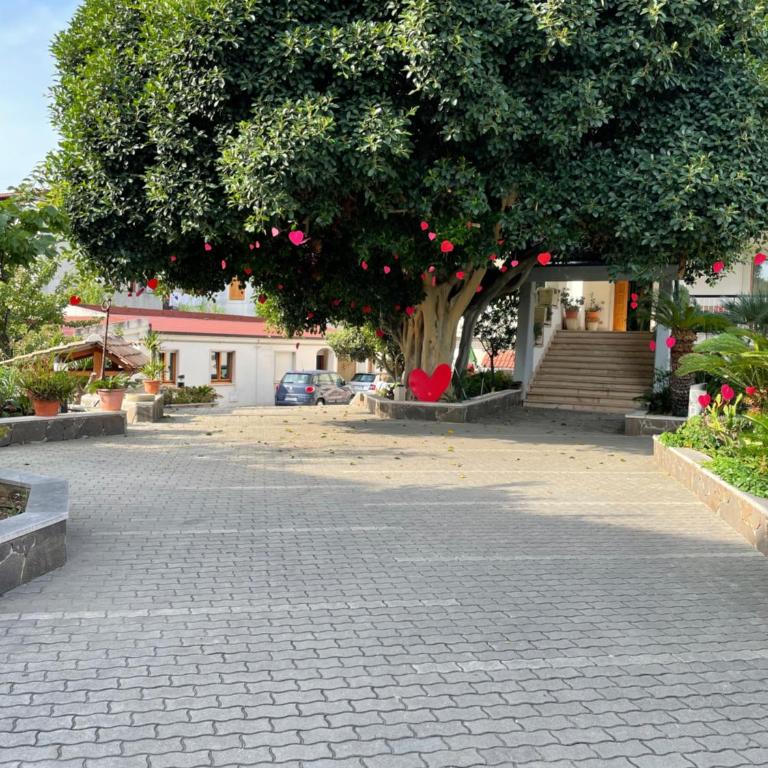 B&b GIARDINO DELLE ZAGARE - Camera Matrimoniale con Bagno Privato - 2