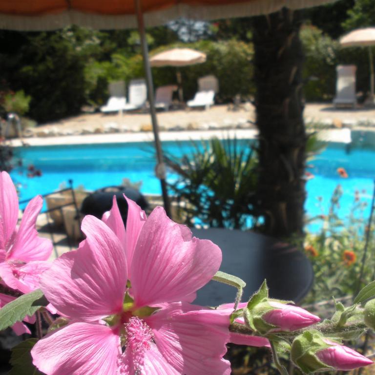 Gites Climatisés Piscine Chauffée La Balancelle - Cottage Catalin - 17