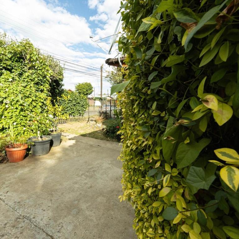 Suite 2 ambientes full equipada con Parking y Aire acondicionado - One-Bedroom Apartment - 3