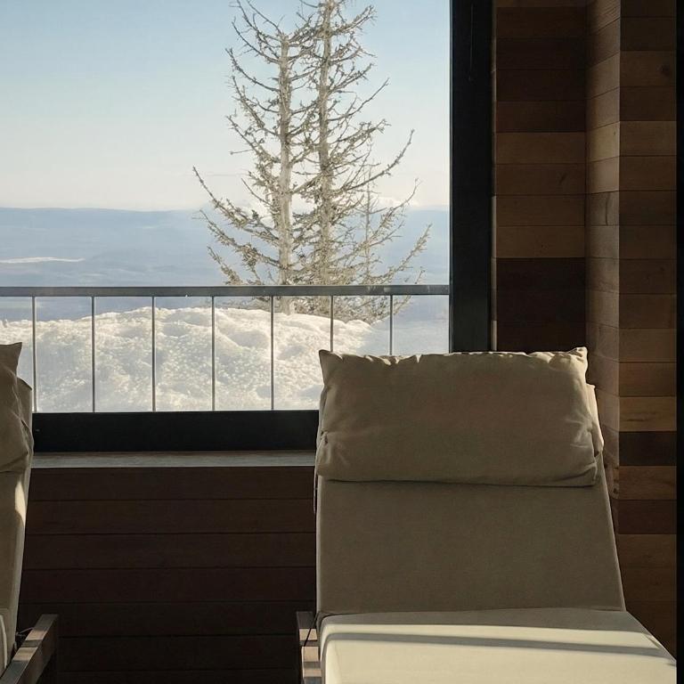 Ikigai Horizon Apartment 420 - One-Bedroom Apartment - 28