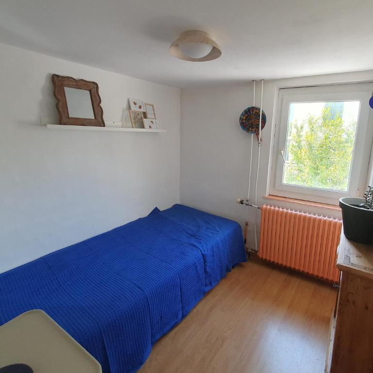 Les appartements du Manoir - Vue Alpes, proche Château de Villa - Apartment mit 2 Schlafzimmern - 7