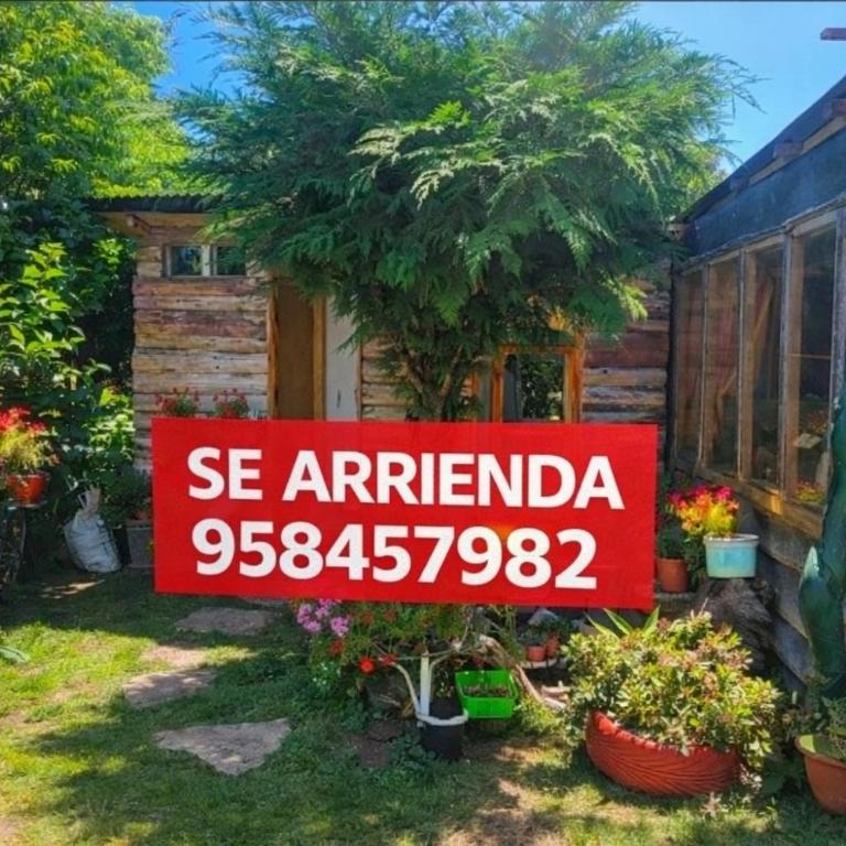 Pieza y estacionamiento independiente - One-Bedroom Apartment - 1