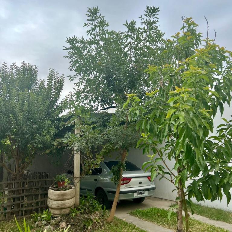 Estadía la 14 - Casa de 2 dormitorios - 8