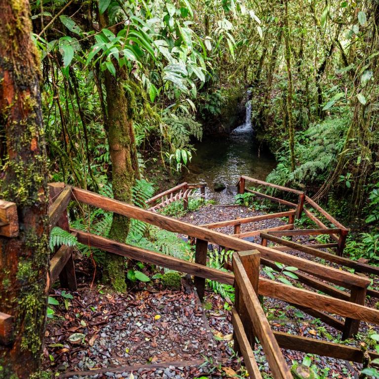 Boskoso Forest Retreat Jacuzzi & Waterfall - Superior Chalet - 4