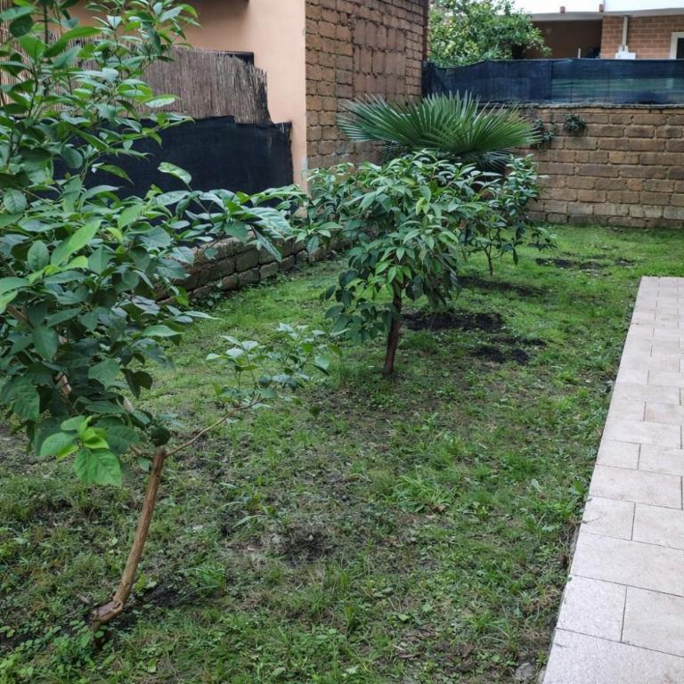 Golden Stay Rome - Golden Room with Private Kitchen and Garden - Close to Metro C - Zimmer mit Kingsize-Bett und Gartenblick. - 6