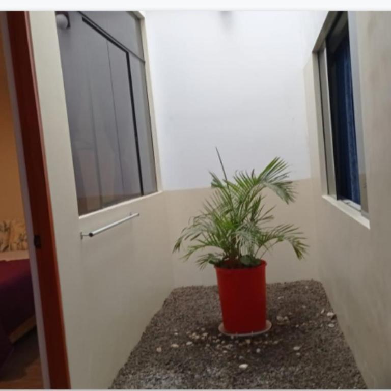 CHANCAY- 1er PISO DEPARTAMENTO - Three-Bedroom Apartment - 18
