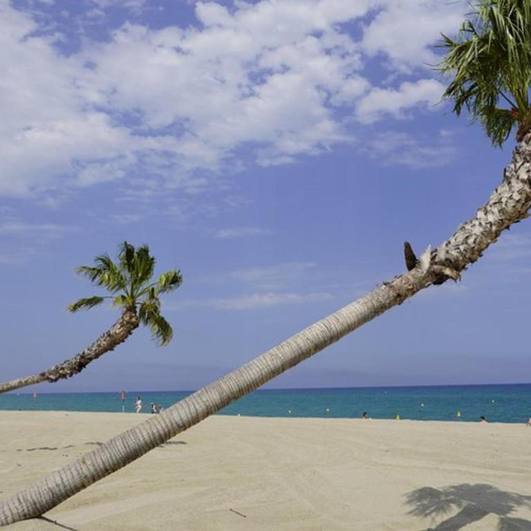 Villa Familiale à 200m de la Plage avec Jardin, Parking et Wi-Fi - Le Barcarès - FR-1-529-229 - Ferienhaus - 19