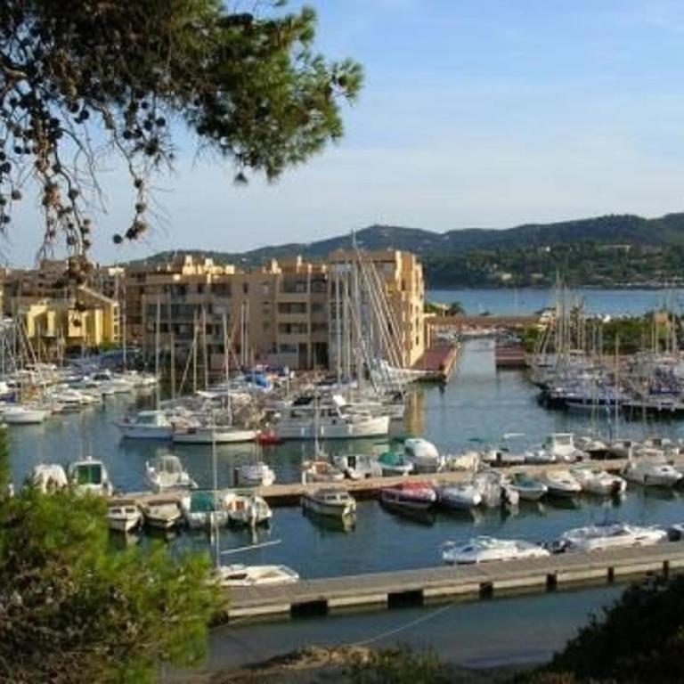 Appartement T2 proche plage avec garage - 4 pers. - FR-1-251-930 - Appartement - 12
