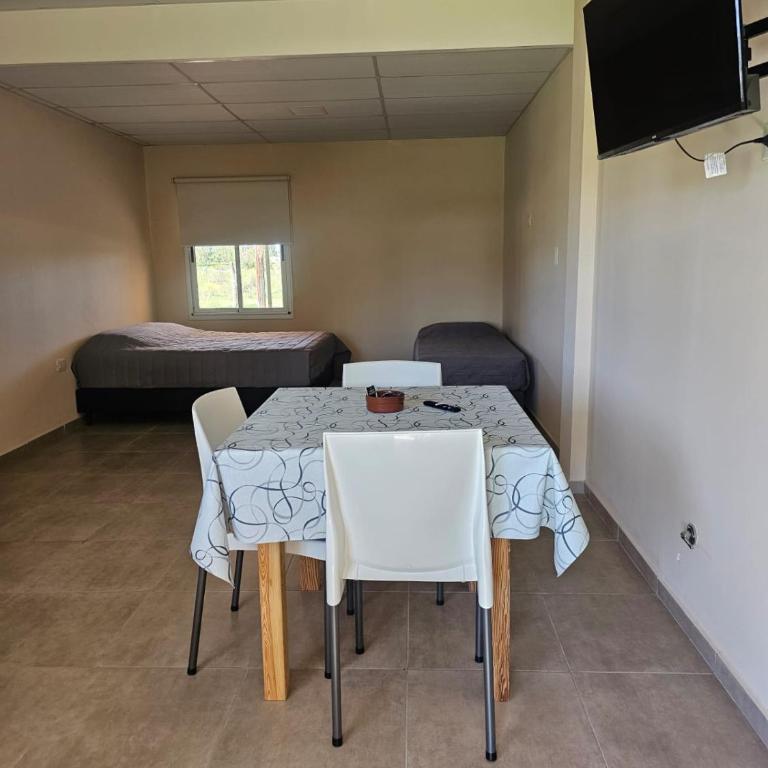 Las Pencas Apart turístico - Premium Quadruple Room - 17