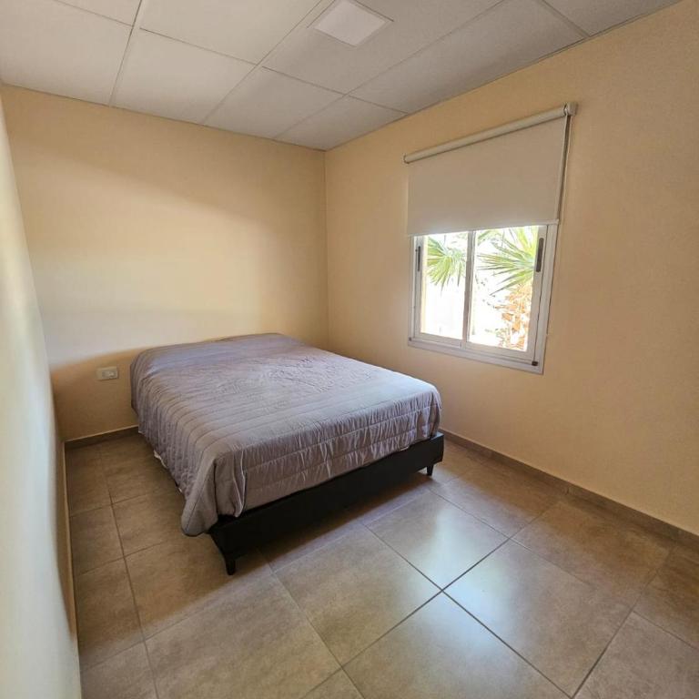 Las Pencas Apart turístico - One-Bedroom Premier Apartment - 5