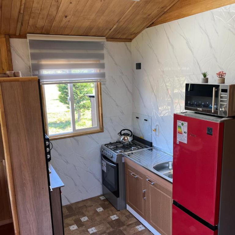 cabaña alerce lago panguipulli - Two-Bedroom House - 12