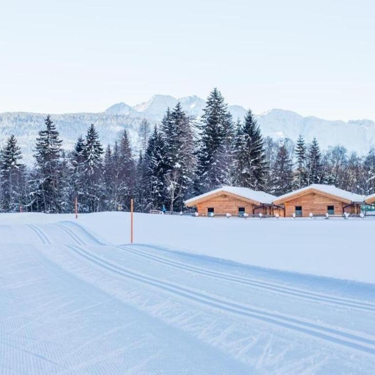Austria Parks - Leutasch - Ferienhaus - 5
