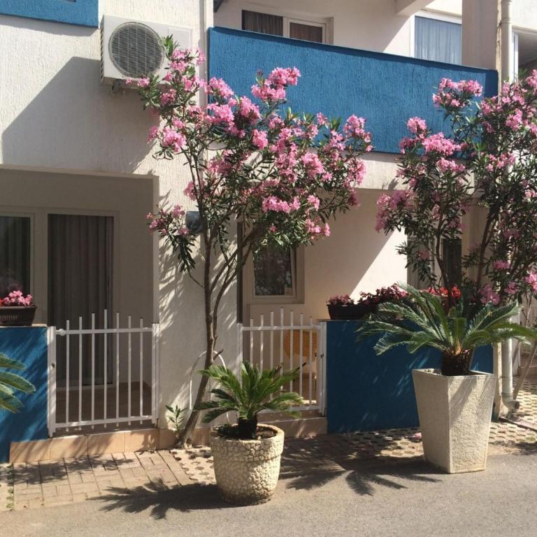 Apartments Aleksić, Bečići - Studio - 1
