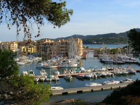 BO240-A21 Appartement 2 PIECES 4 couchages BORMES LES MIMOSAS - One-Bedroom Apartment - 14