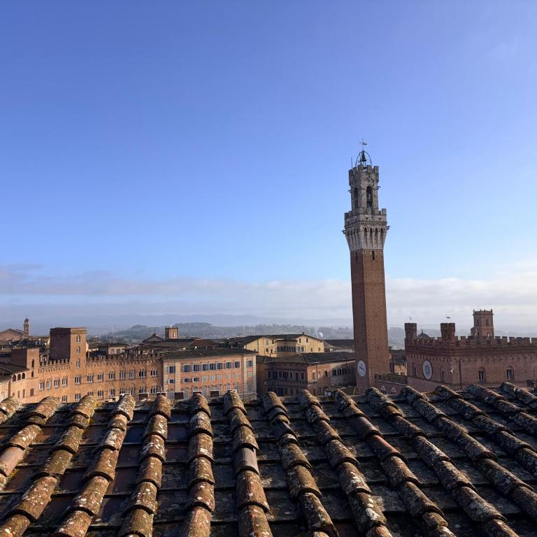 Il NIDO-Attico Siena Centro con vista Duomo e Torre Del Mangia - Appartamento - 10