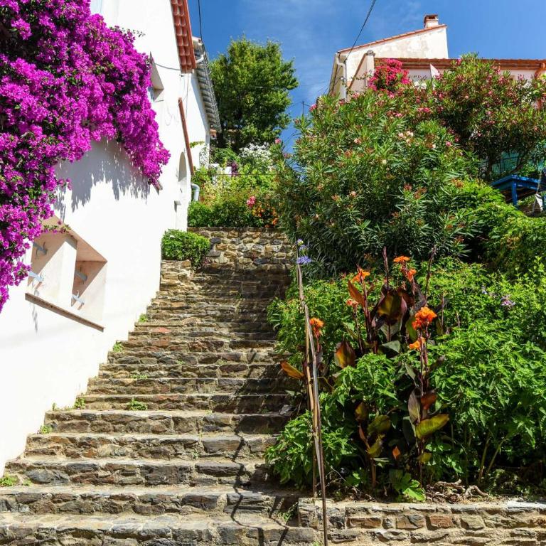 Appart 2 pièces 4 couchages BANYULS SUR MER BN090-J30 - One-Bedroom Apartment with Terrace - 15
