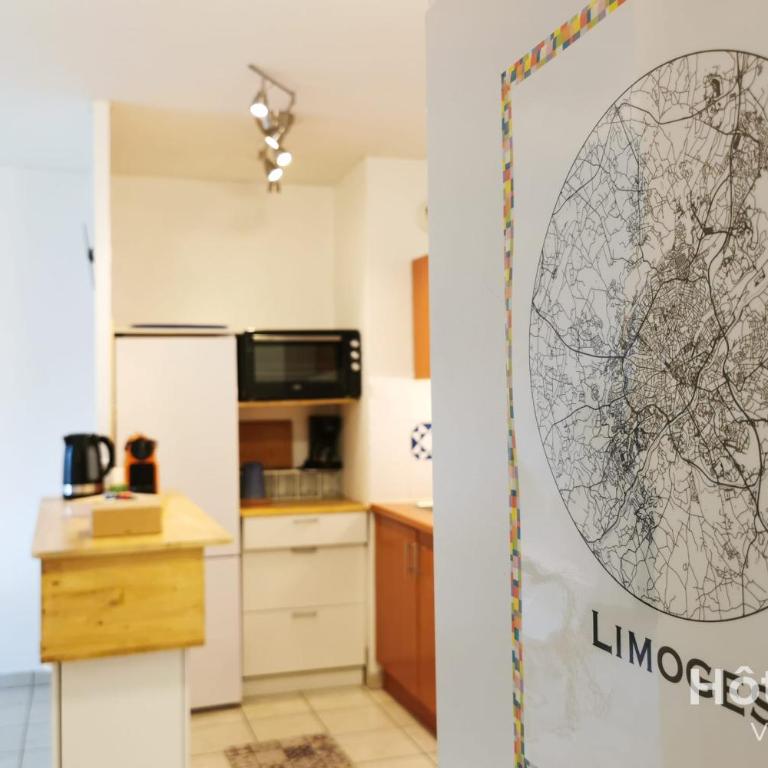 Balcons de Renoir Parking & piscine - Limoges - Appartement - 13
