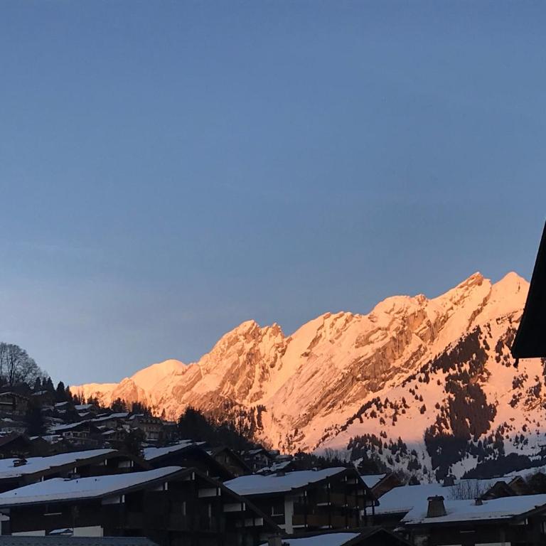 NOUVEAU A LA LOCATION Escale Blanche 1 Appartement 3 etoile avec mezzanine centre du village - Appartamento con Vista Montagna - 11