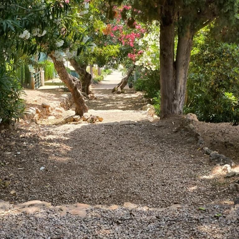 Apartamento acogedor cerca del mar - Apartamento de 1 dormitorio - 10