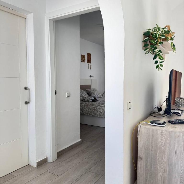 First Love - One-Bedroom Apartment - 26