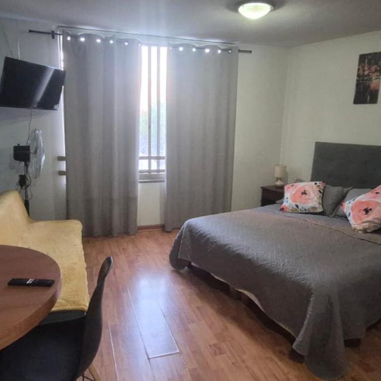 Dpto tipo studio - One-Bedroom Apartment - 1