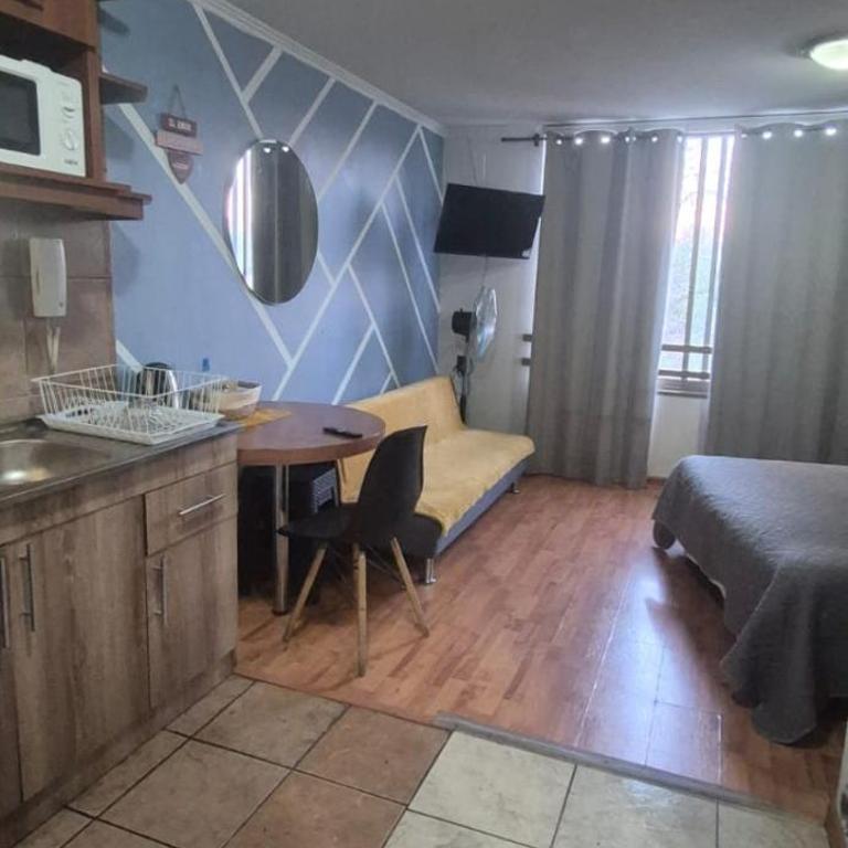 Dpto tipo studio - One-Bedroom Apartment - 4