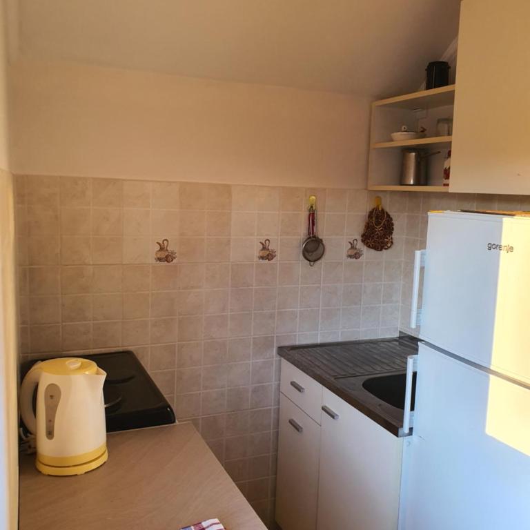 Apartmani Petrovic Tara, Kaludjerske bare - Apartman sa Pogledom na Vrt - 7