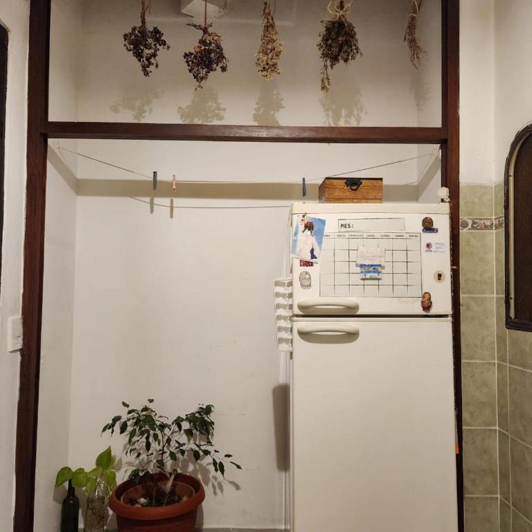 Dpto centrico sobre Av Eden - Apartamento de 2 dormitorios - 4