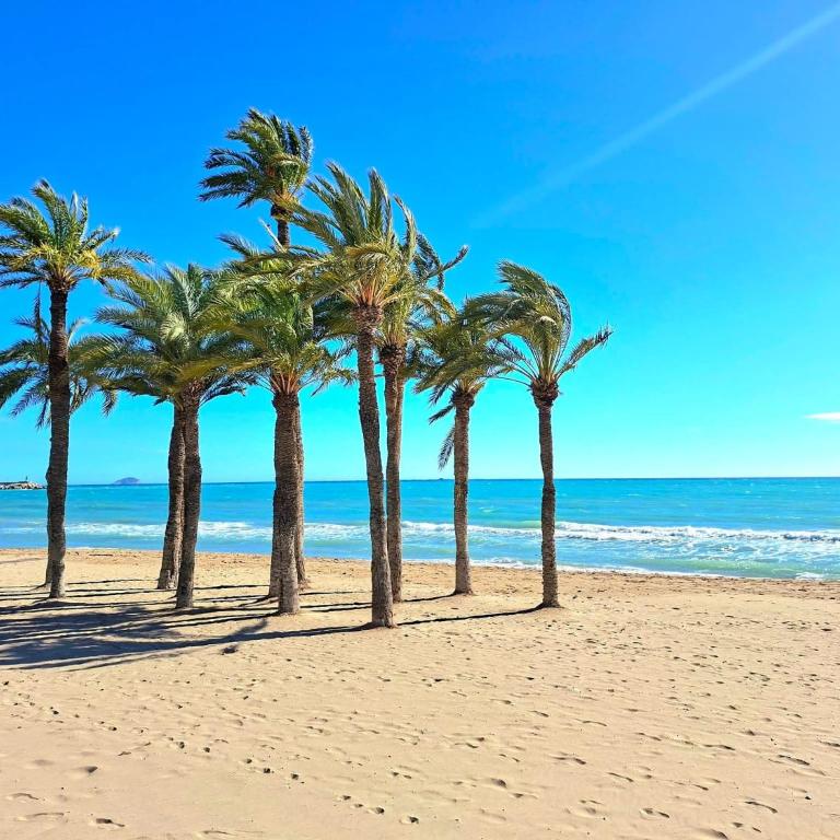 Torrevieja CityCenter LocosBeach 50m Exclusive Apartment - Apartamento de 2 dormitorios - 1