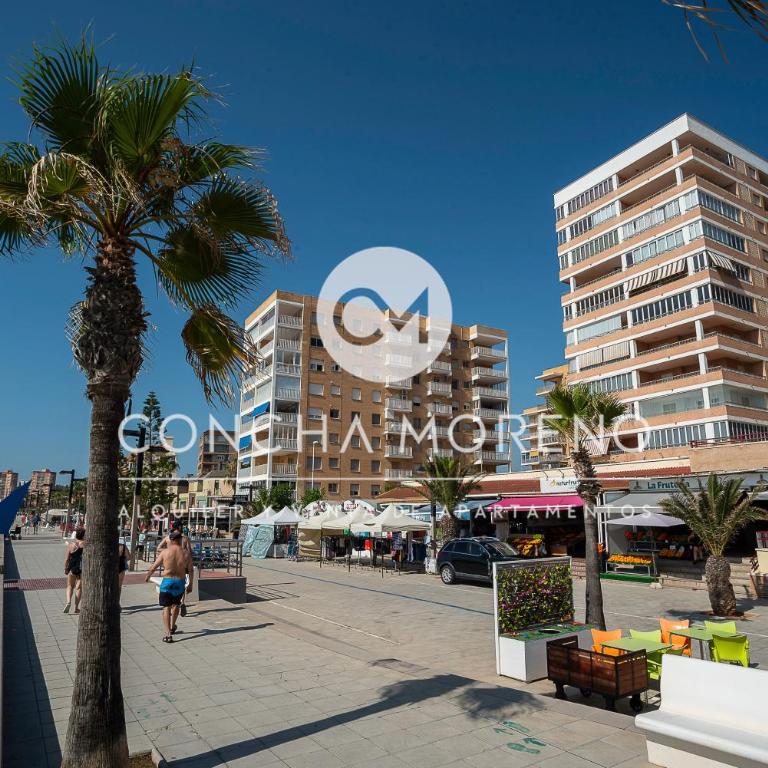 Sol dor-CM - Apartamento de 3 dormitorios - 17