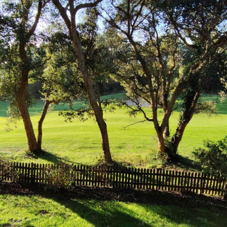 Le Fairway – T2 piscines plage golf - Appartement 1 Chambre - 11