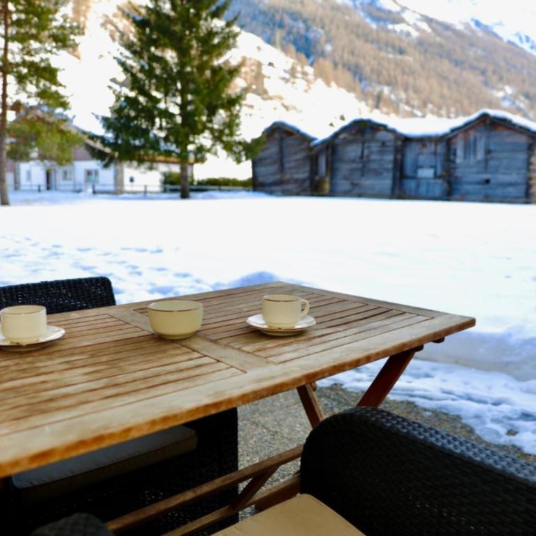 Monte Rosa Apartments Täsch - Apartamento Estudio - 9
