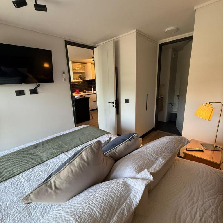 SmartSuites Chile Hermoso Departamento 1 Dormitorio 1 Bano Sofa Cama Aire Acondicionado Terraza Estacionamiento - One-Bedroom Apartment - 29