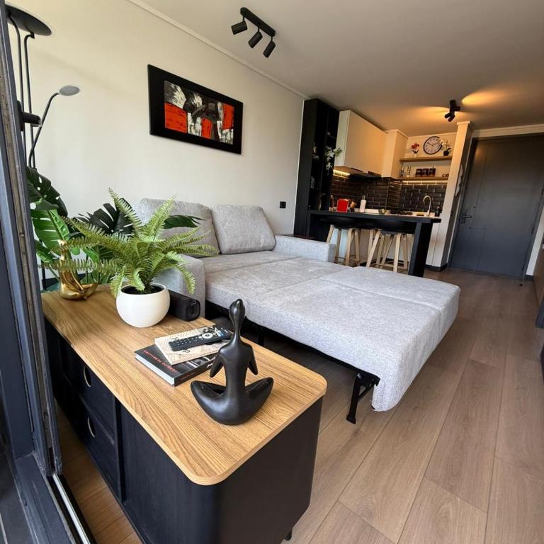 SmartSuites Chile Hermoso Departamento 1 Dormitorio 1 Bano Sofa Cama Aire Acondicionado Terraza Estacionamiento - One-Bedroom Apartment - 61
