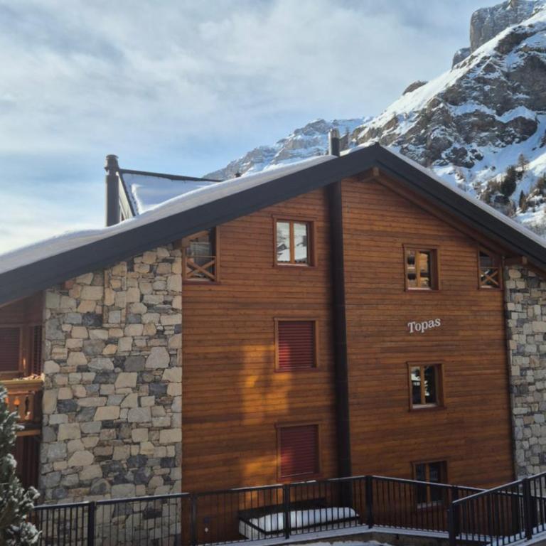 Summit & Spring Studio - Leukerbad - Apartamento de 1 dormitorio - 11