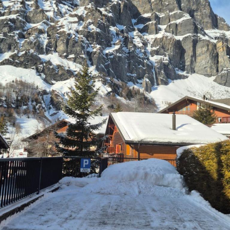 Summit & Spring Studio - Leukerbad - Apartamento de 1 dormitorio - 12