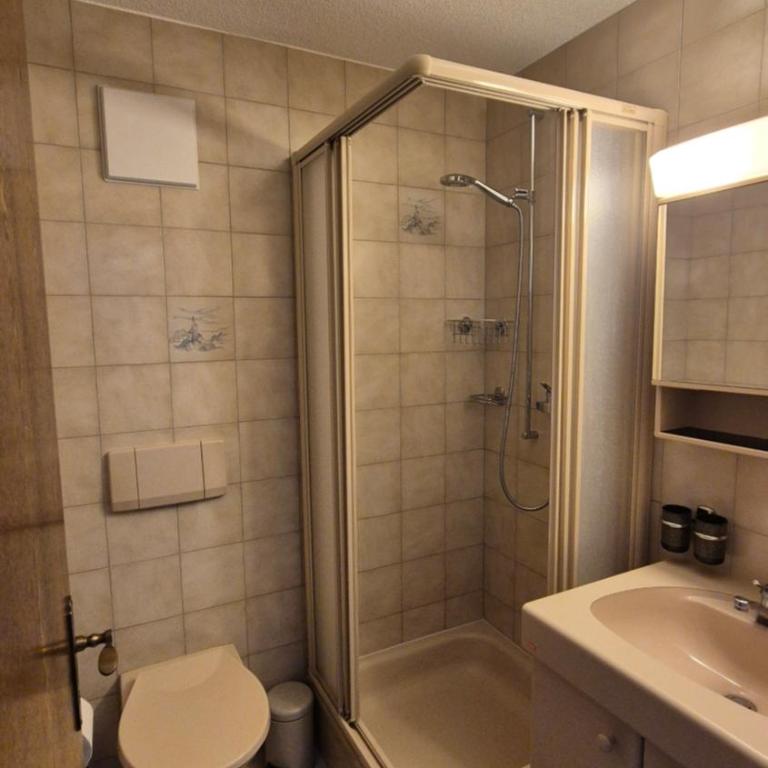 Summit & Spring Studio - Leukerbad - Apartamento de 1 dormitorio - 19